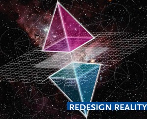 redesign-reality